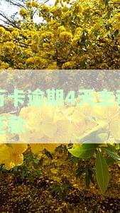 万卡逾期4天主动还款会如何处理？