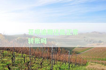 花呗逾期还能正常转账吗-花呗逾期还能正常转账吗怎么办