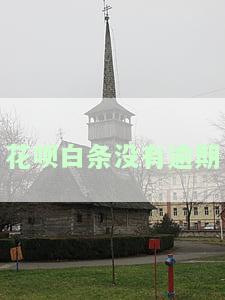 白条不逾期借款记录会显示在征信上吗？安全吗？