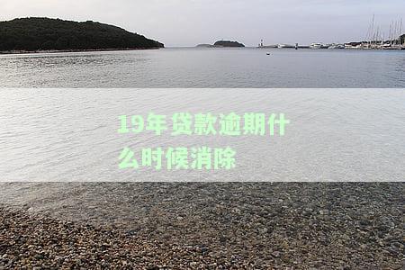 2019年逾期贷款利率：查询与分析