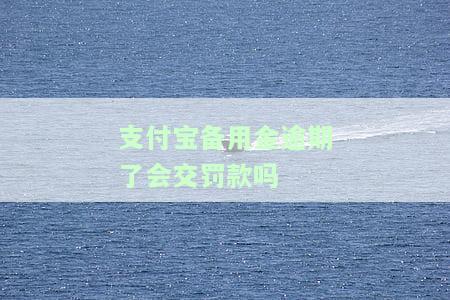 支付宝备用金逾期了会交罚款吗怎么办，支付宝备用金逾期未还，需要缴纳罚款吗？解决方案在此！