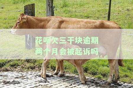 花呗欠三千块逾期两个月会被起诉吗？解决方案是什么？