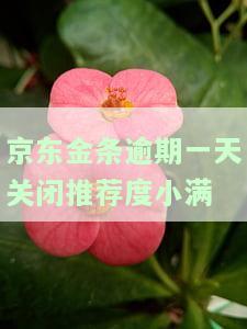 京东金条还款逾期一天会不会影响征信，京东金条还款逾期一天是否会影响个人征信？
