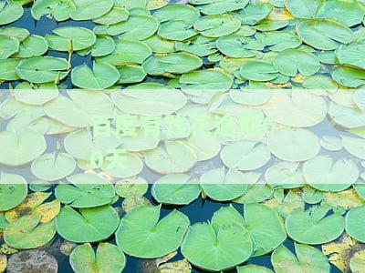 百度有钱花逾期60天-百度有钱花逾期60天会怎么样