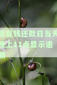 豆豆钱还款晚了一天,直接跳到下期账单，逾期一天还款，豆豆钱自动滚入下期账单