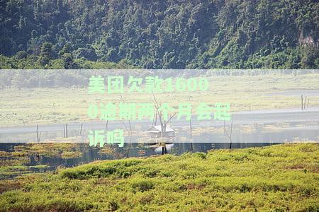 美团欠款16000逾期两个月会起诉吗知乎，美团欠款16000逾期两个月是否会面临起诉？知乎用户分享经验与看法