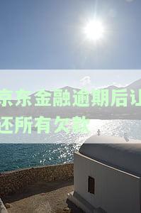 京东金融逾期还了,会马上要求还全款吗，京东金融逾期还款后，是否会立即要求全额偿还？