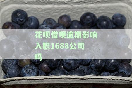 借呗逾期会影响找工作吗？了解其可能带来的后果与影响