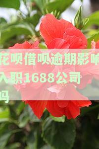 花呗借呗逾期会影响生孩子上户口吗？答案揭晓