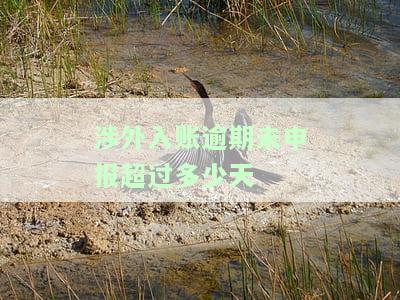 涉外收入申报的时限：了解具体规定和要求