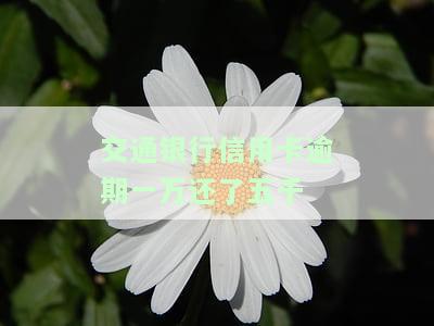 交通银行信用卡逾期一万还了五千怎么办，交通银行信用卡逾期一万元，还款五千后应如何处理？