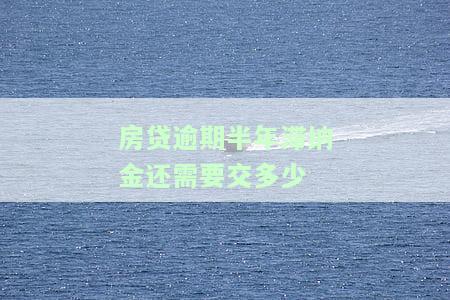 房贷逾期半年滞纳金还需要交多少利息，房贷逾期半年，滞纳金和利息该付多少？