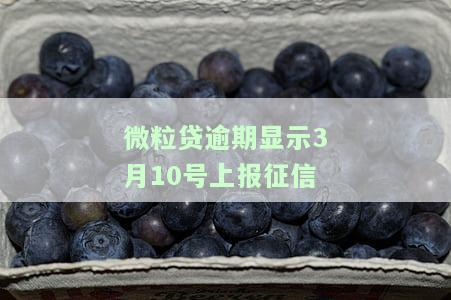 微粒贷逾期页面：发现座机号，查看逾期详情与图片