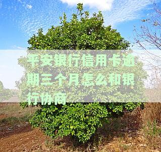 平安银行信用卡逾期三个月怎么和银行协商期还款，如何与平安银行协商信用卡逾期三个月的期还款？