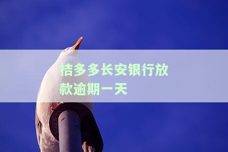如何处理在桔多多贷款逾期两个月的问题？
