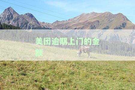 美团逾期上门的金额是多少？请提供详细信息