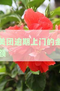 美团逾期两个月了,说要上门了解情况，美团逾期两月，即将面临上门催收？