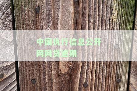 中国执行信息公开网网贷逾期-中国执行信息公开网网贷逾期怎么办