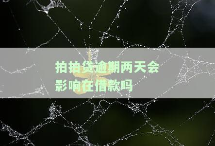 拍拍贷逾期两天会影响在借款吗安全吗，拍拍贷逾期两天会对再次借款的安全性产生影响吗？