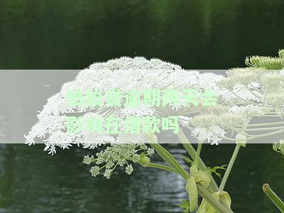 拍拍贷逾期两天，是否会影响未来的借款？