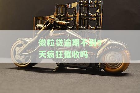 微粒贷逾期不到5天被疯狂催收？解决方案在这里！