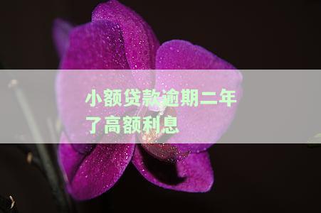 小额贷款逾期了好几年，多年未还，小额贷款逾期问题该如何解决？