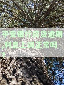 平安银行房贷晚还一天有事吗？解决办法及影响解析