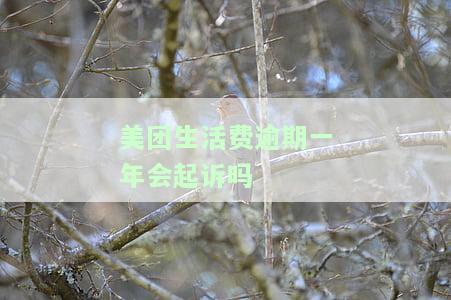 美团生活费逾期一年会起诉吗怎么办，美团生活费逾期一年是否会被起诉？解决方案大揭秘！