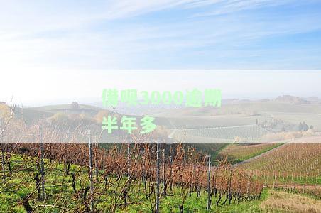 借呗3000元逾期一年处理方法