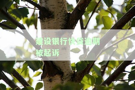 建设银行快贷逾期被起诉了怎么办，建设银行快贷逾期被起诉，如何应对？