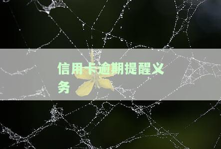 信用卡逾期提醒义务-信用逾期短信提醒