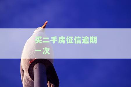 买二手房征信逾期一次怎么办，如何处理购买二手房时的征信逾期问题？