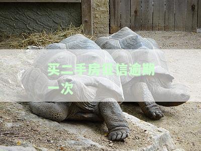 二手房贷款征信有逾期，房贷难题：如何解决二手房贷款征信逾期问题？