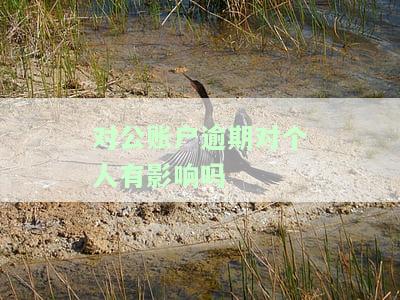 对公账户对账逾期，未及时对公账户对账导致的逾期问题及解决方案