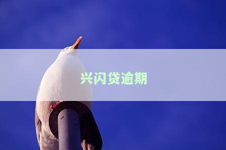 兴闪贷逾期会怎么样，警惕！兴闪贷逾期后果严重，你必须知道