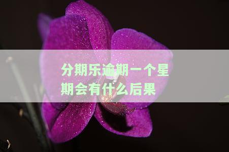 分期乐逾期一周会联系紧急联系人吗？会对下次分期有影响吗？还款后有何后果？