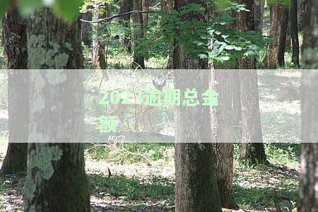 2023逾期总金额-2020年逾期金额