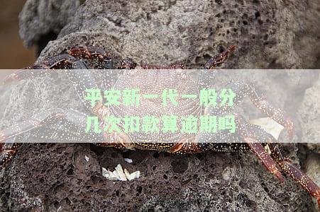 平安新一代一般分几次扣款算逾期吗