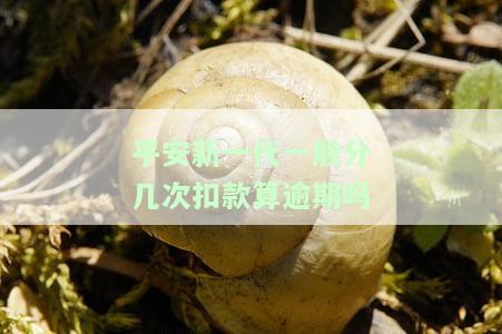 平安新一代：使用期限及退款规定，无需担心违约金问题