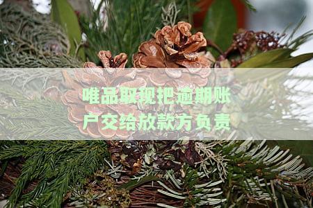 唯品取现逾期几天联系家人：有何影响？
