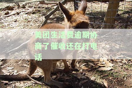 美团生活费逾期七天了,说上门协商，美团生活费逾期七天，面临上门协商的可能
