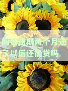 网贷逾期两个月会不会被起诉，网贷逾期两个月会面临诉讼风险吗？