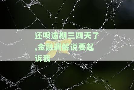 还呗逾期三四天了，金融调解说要起诉我，该怎么办？