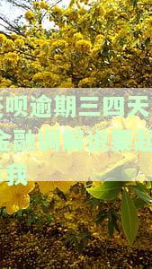 还呗逾期三四天了,金融调解说要起诉我-还呗逾期三四天了,金融调解说要起诉我是真的吗