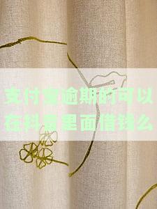 支付宝有逾期能不能贷款，支付宝逾期后还能申请贷款吗？