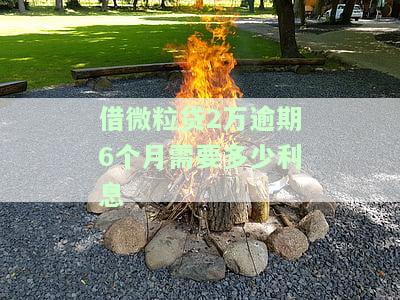 微粒贷2万逾期5个月：影响及解决办法