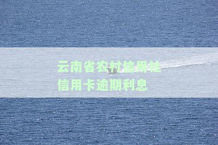 云南省农村信用社信用卡逾期利息计算方法及标准