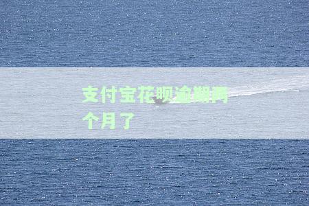 支付宝花呗逾期两个月了