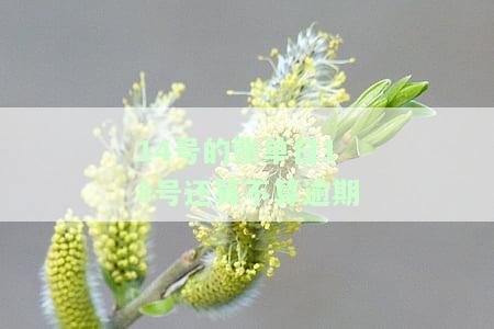14号的账单日18号是否算逾期？