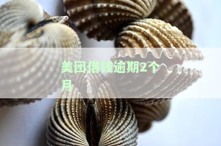 美团借钱逾期2个月-美团借钱逾期2个月了会不会被拉黑